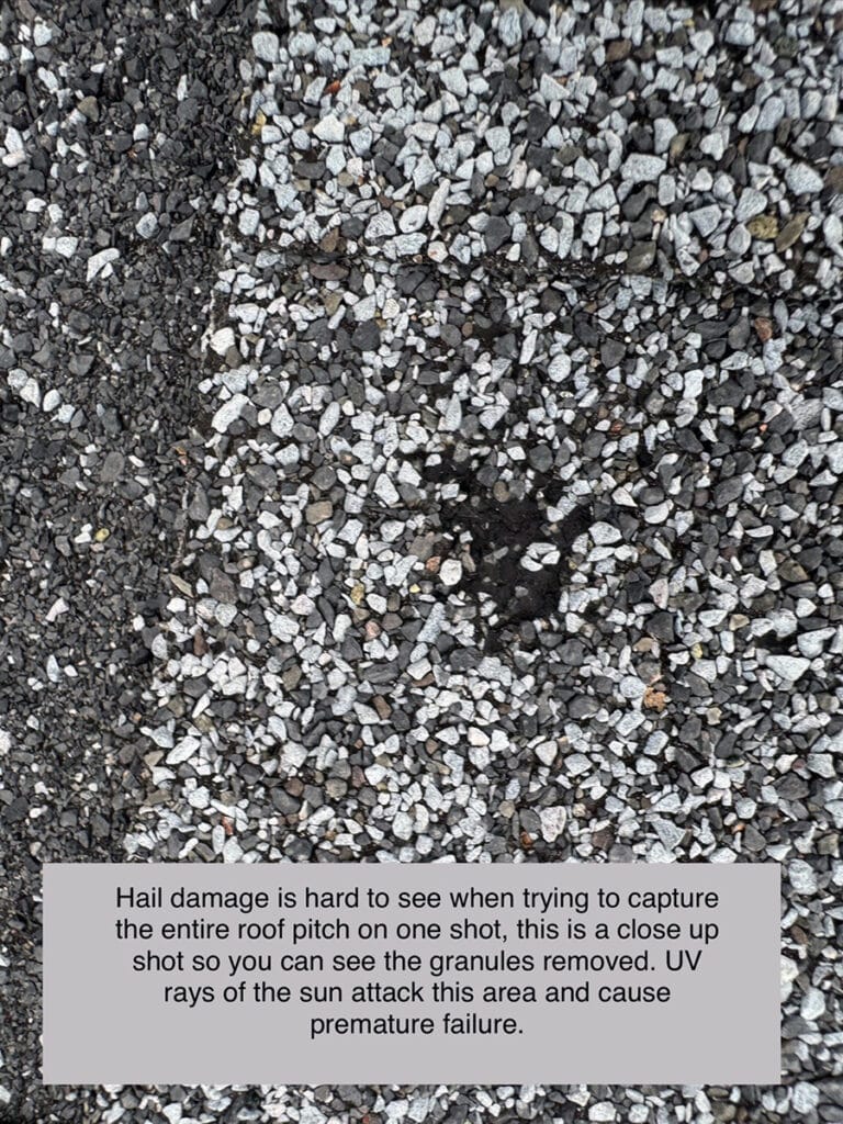 Close-up of hail damage on asphalt shingles showing granule loss