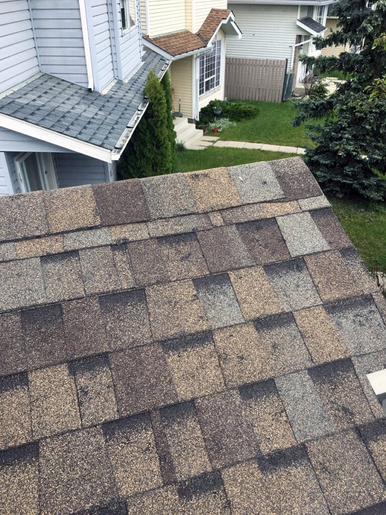 Residential roof in Calgary showing scattered hail impact marks on asphalt shingles